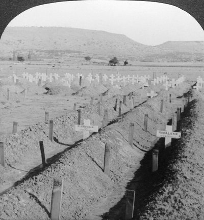 Girl Cemetery, Ladysmith, Natal, Sydafrika. av Excelsior Stereoscopic Tours