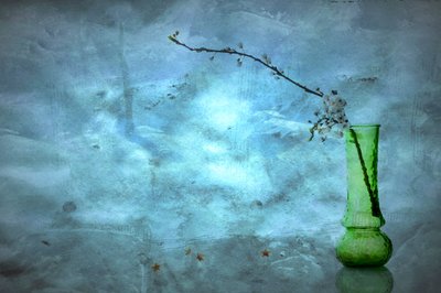 Stilla blå blommor av Eyal Amer