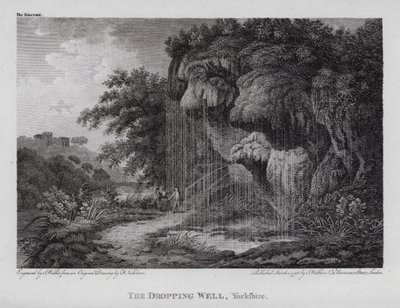 The Dropping Well, Yorkshire (gravyr) av F. (after) Nicholson