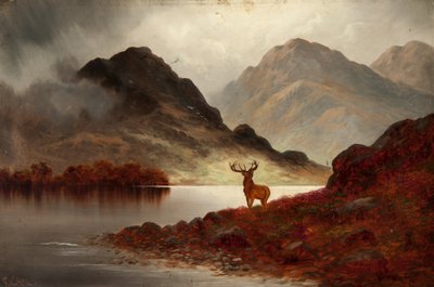 Stag at Bay (olja på duk) av F. Carl