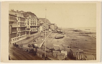 St. Leonards [England] av F. S. Mann