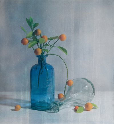 Citrusfrukter och blå flaskor av Fangping Zhou