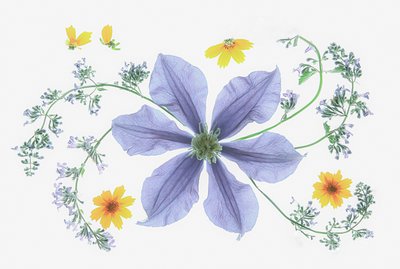 Frisk blomsterkomposition av Fangping Zhou