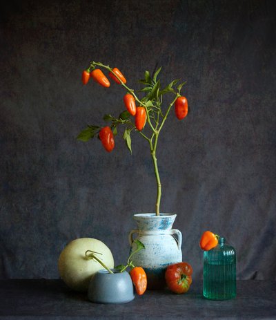 Rustikt stilleben med orange tomater av Fangping Zhou