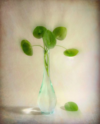Glasvas med runda blad av Fangping Zhou