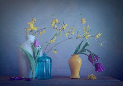 Vårvaser och blommor av Fangping Zhou