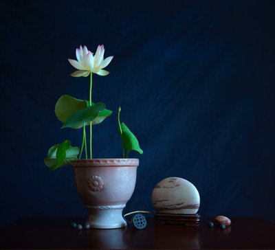 Zenstilleben med lotus av Fangping Zhou