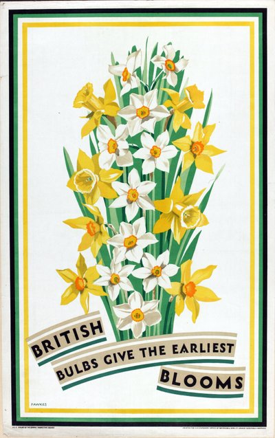 British Bulbs Give the Earliest Blooms, från serien 