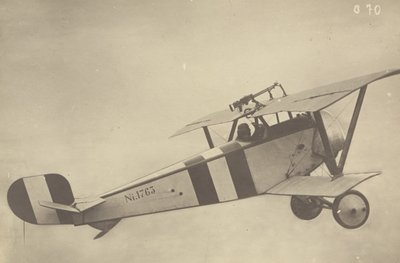[Profil av en flygande Nieuport 17 (flygplan)] av Fedele Azari