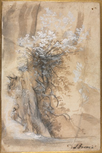 Blommande buske ovanför en eroderad bank av Federico Barocci