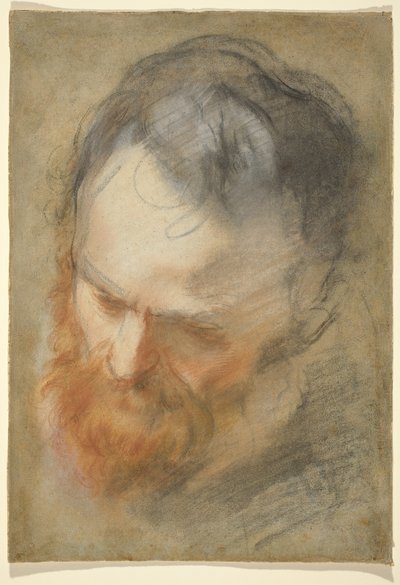 Huvudet av en skäggig man av Federico Barocci