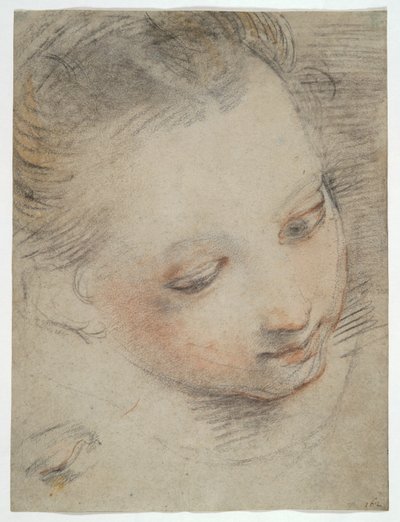Head of a Girl, studera för en figur i Madonna del Popolos altartavla i Uffizierna av Federico Barocci