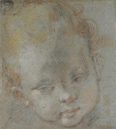 Recto: Head of a Child (svart, röd, vit, rosa och gul krita på blågrått papper) av Federico Barocci