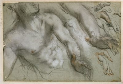 Studie till helgonfiguren i målningen "Sankt Vitalis martyrdöd" av Federico Barocci