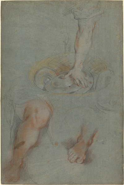 Studier för en tjänare i "Nattvarden" av Federico Barocci