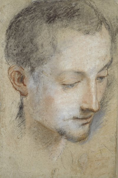 Studie av en ung mans huvud (svarta, röda och rosa krita på gråaktigt papper) av Federico Barocci