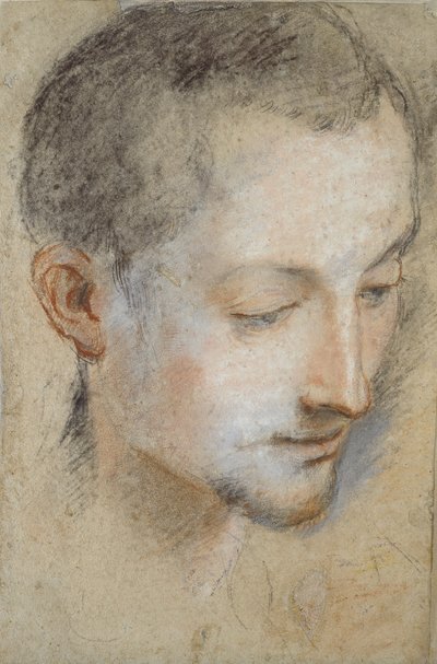 Studie av en ung mans huvud, sent 1500-tal av Federico Barocci