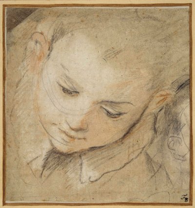 Huvudet på en pojke som tittar ner av Federico Fiori Barocci or Baroccio