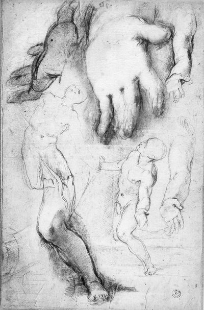 Studie för St. Franciskus gestalt (krita på papper) av Federico Fiori Barocci or Baroccio
