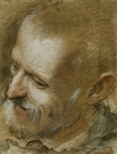 Studie av huvudet på en skäggig man som vändes åt vänster, 1590 av Federico Fiori Barocci or Baroccio