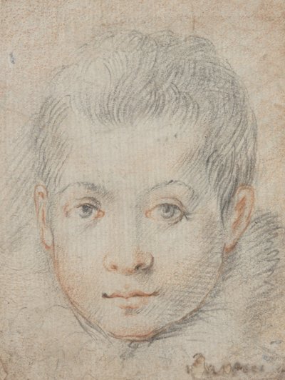 Huvud av en pojke av Federico Zuccaro