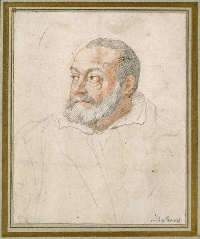 Porträtt av en man (röd krita och svart bly på papper) av Federico Zuccaro