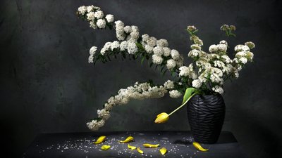 Elegant blomsterstilleben av Felice Angelino