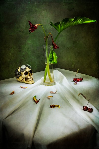 Gothic Skull Vanitas av Felice Angelino