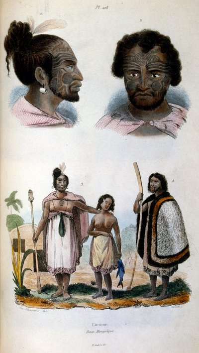 Antropologisk illustration föreställande Maori-rasen av Felix-Edouard Guerin