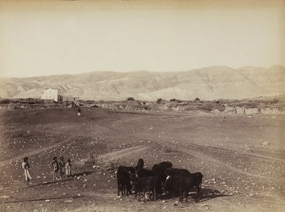 Ett stenigt område med barn och betande djur, i Egypten av Félix Bonfils