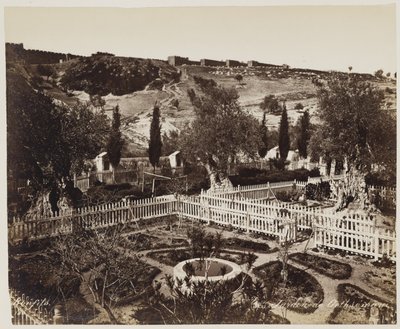 Getsemane trädgård nr 303 av Félix Bonfils