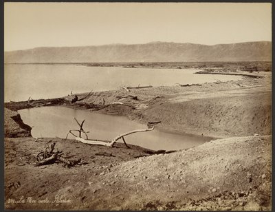 Döda havet, Palestina av Félix Bonfils
