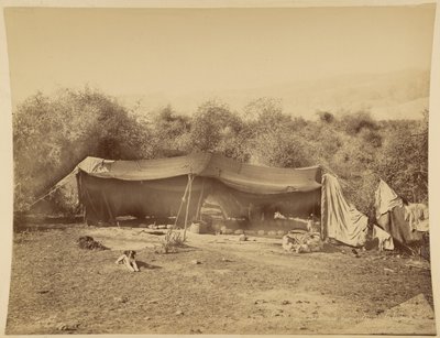 Nomadiska beduiners tält, Palestina av Félix Bonfils