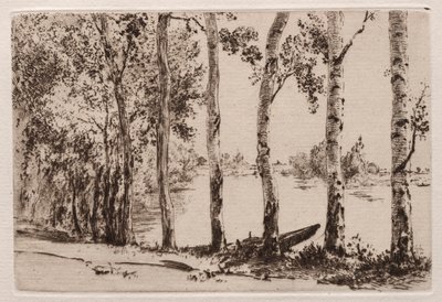 Aspar på stranden av Seine av Felix Bracquemond