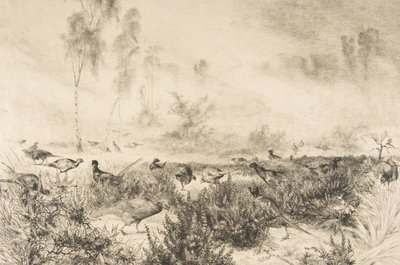 Morgondimmor, 1882. av Felix Bracquemond