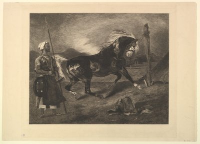 Arabisk häst på påle, efter Delacroix, 1857. av Felix Bracquemond
