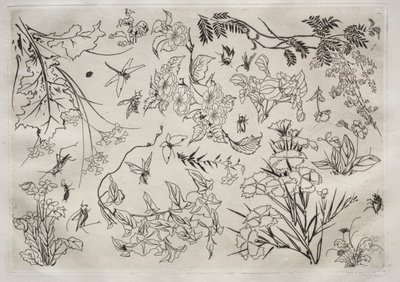 Middagsservering (Rousseau-servering): Blommor (nr 22) av Felix Bracquemond