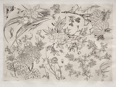 Middagsservering (Rousseau-servering): Blommor (nr 23) av Felix Bracquemond