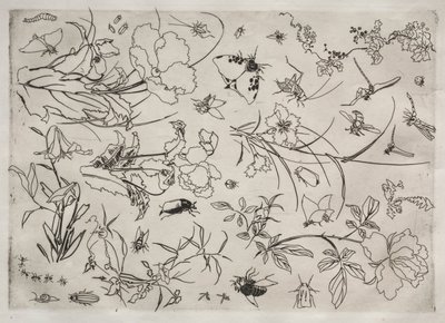 Middagsservering (Rousseau-servering): Blommor och insekter (nr 15) av Felix Bracquemond