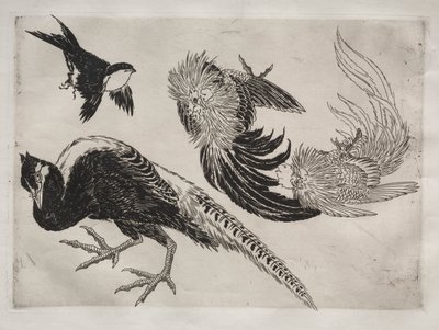 Middagsservering (Rousseau-servering): Fasaner och fågel (nr 18) av Felix Bracquemond