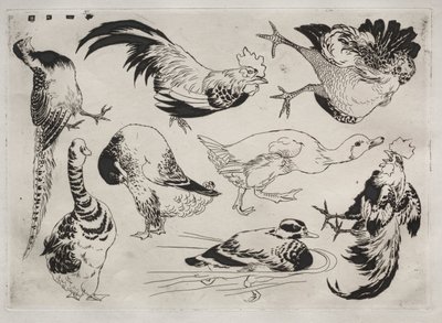 Middagsservering (Rousseauservice): Tuppar, ankor, etc. (nr 13) av Felix Bracquemond
