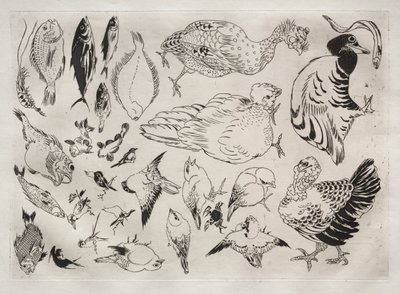 Middagsservering Rousseauservering: Ankor, fisk mm nr. 12, 1866. av Felix Bracquemond