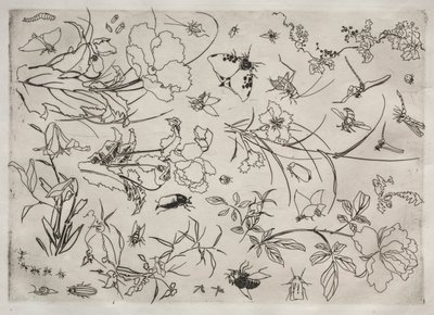 Middagsservering Rousseauservice: Blommor och insekter nr. 15, 1866. av Felix Bracquemond
