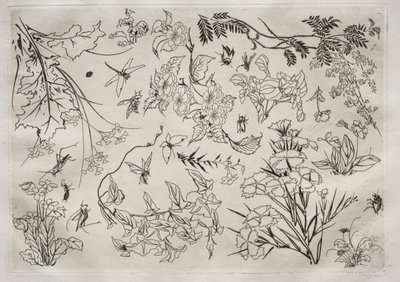 Middag Service Rousseau service: Blommor nr. 22, 1866. av Felix Bracquemond
