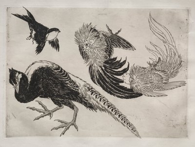 Middag Service Rousseau service: Fasaner och fågel nr. 18, 1866. av Felix Bracquemond