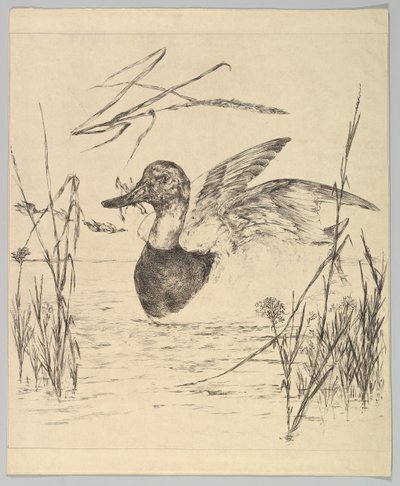 Anka, 1850-1914. av Felix Bracquemond
