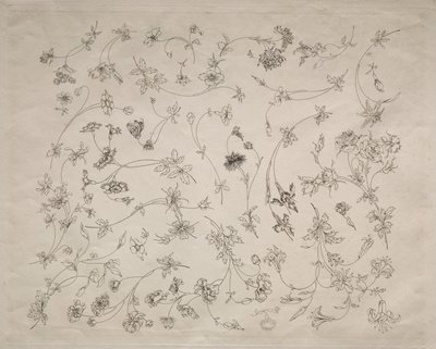 Blommönster för tallrikar och bårder nr. 14, 1872. av Felix Bracquemond