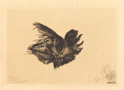 Chef för en kuk av Felix Bracquemond