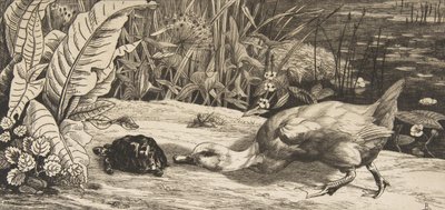 Det okända, 1862. av Felix Bracquemond