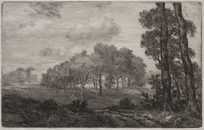 Landskap, efter franska av Felix Bracquemond